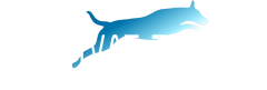 Toimivat Tassut